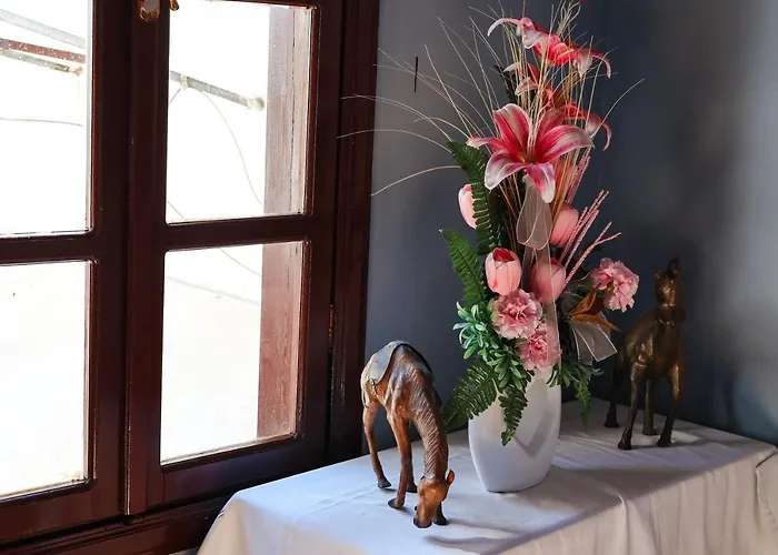 酒店 埃尔肯大酒店 安塔利亚