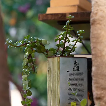 Grand Erken Ξενοδοχείο Αττάλεια